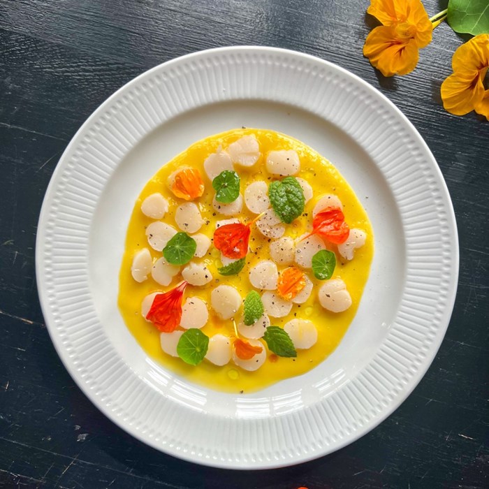 Crudo med pilgrimsmussla Crudo med pilgrimsmussla