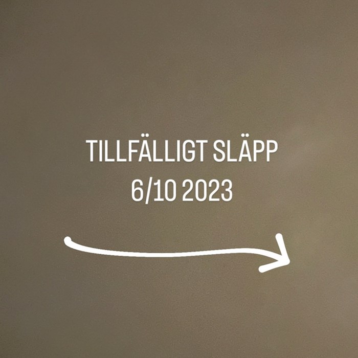 Tillfälligt släpp 6/10 2023 Tillfälligt släpp 6/10 2023