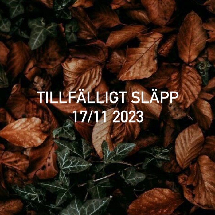 Tillfälligt släpp 17/11 2023 Tillfälligt släpp 17/11 2023