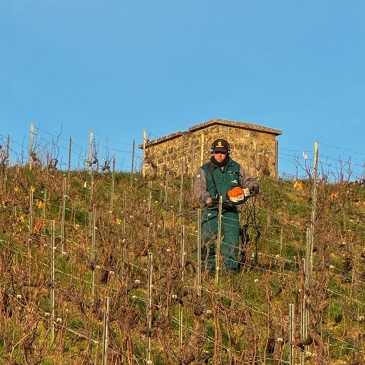 kalkstensberget Deutz
