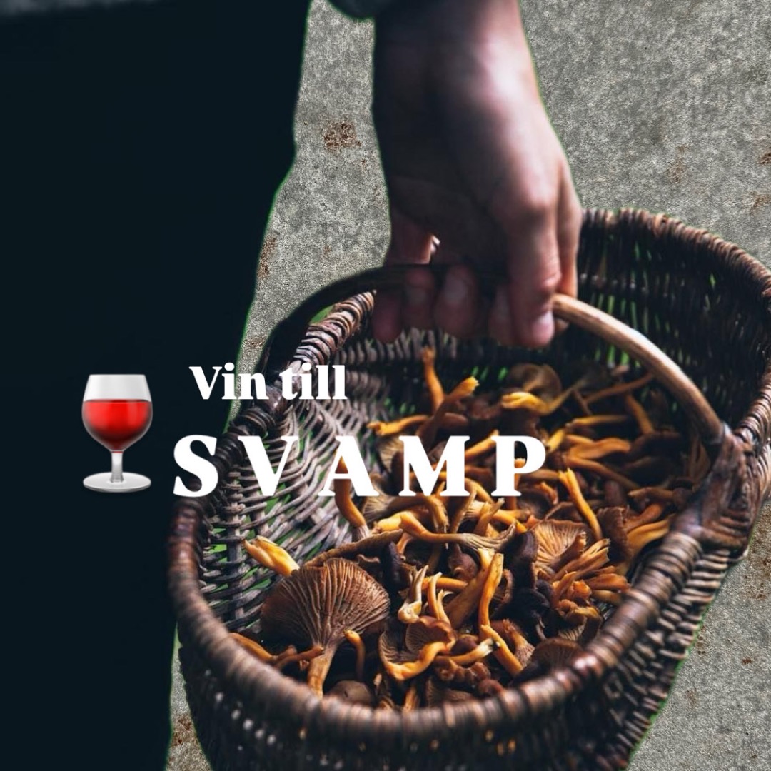 9 viner till svamp
