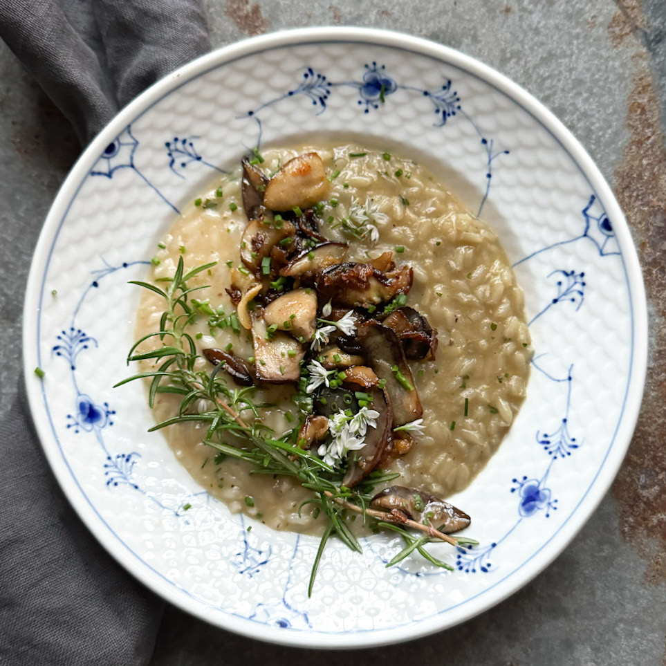 Risotto med karljohansvamp