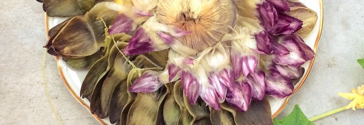 kronärtskocka-foodfolder