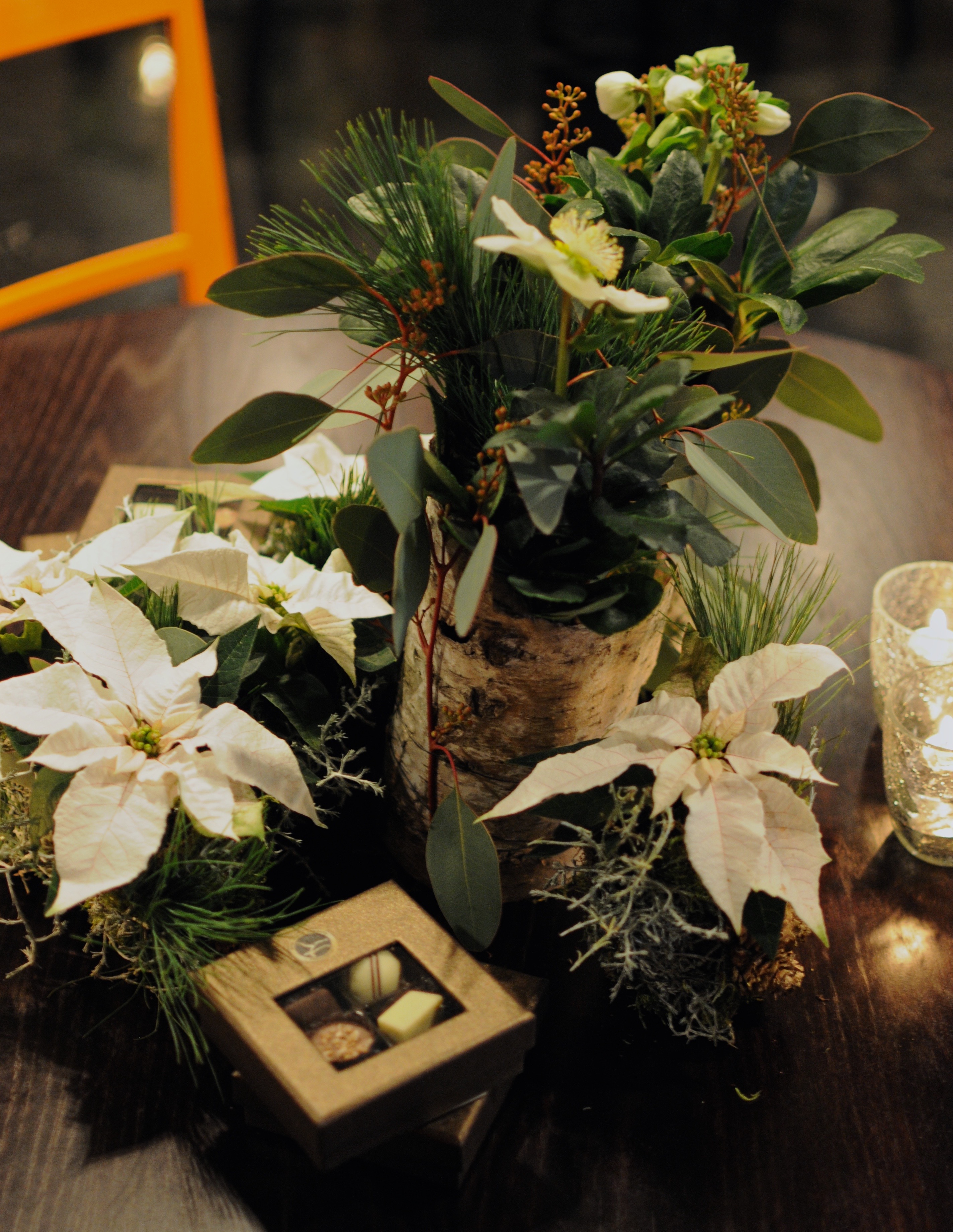 Julens alla härliga blommor