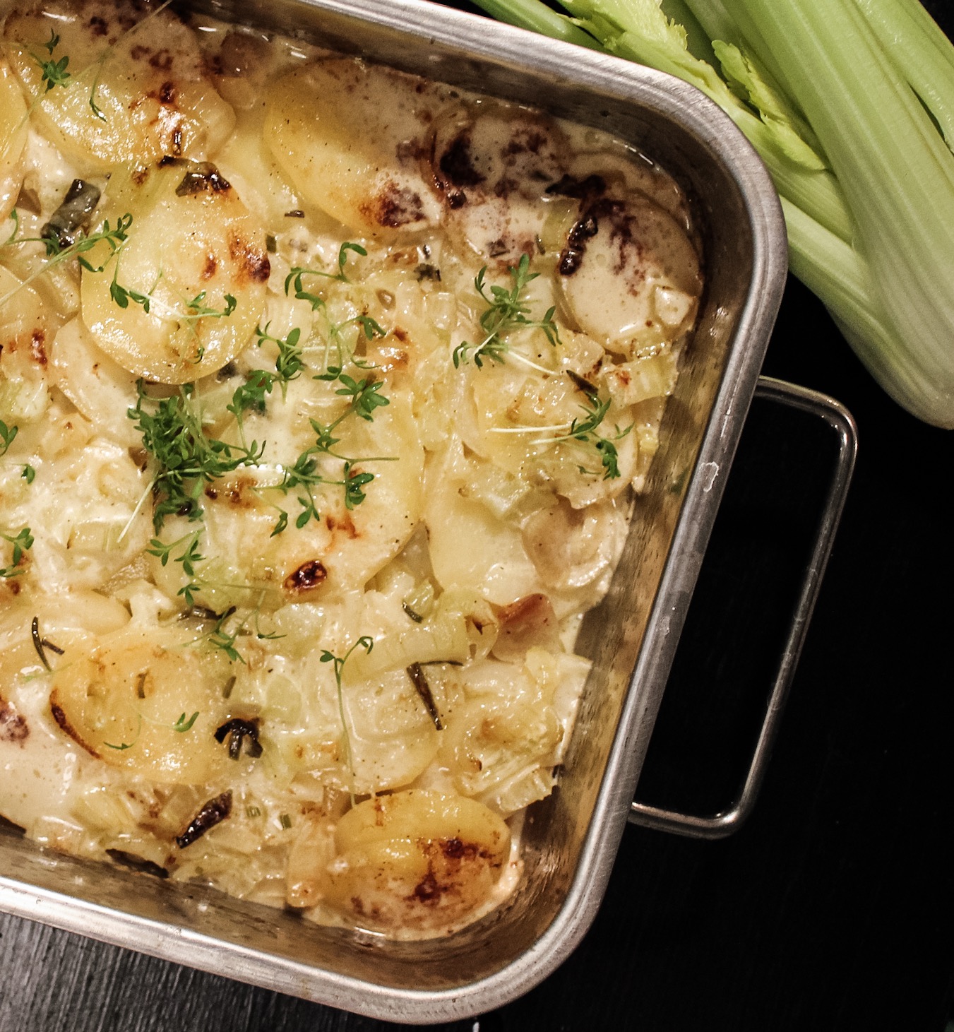 potatisgratäng med selleri och Västerbottensost