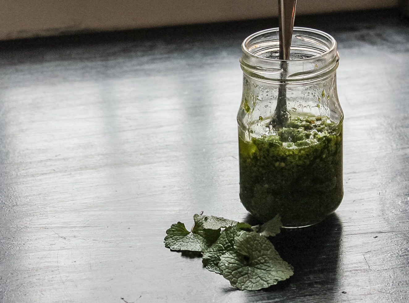 foodfolder-löktarvs-pesto-1