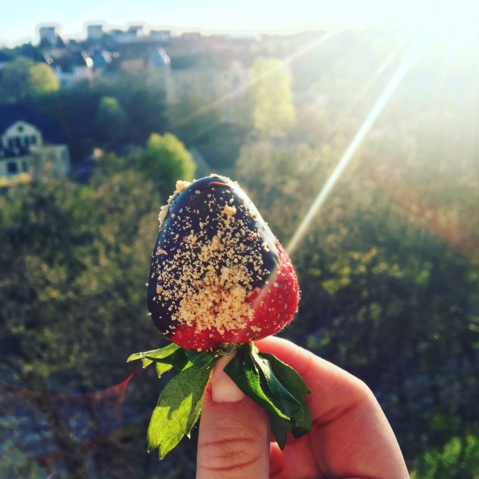 Chokladdoppade jordgubbar med digestivesmul Chokladdoppade jordgubbar med digestivesmul