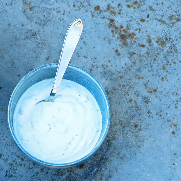 myntayoghurtsås myntayoghurtsås