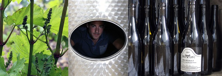 foodfolder-romaric-chavy-chouet-1 .jpg