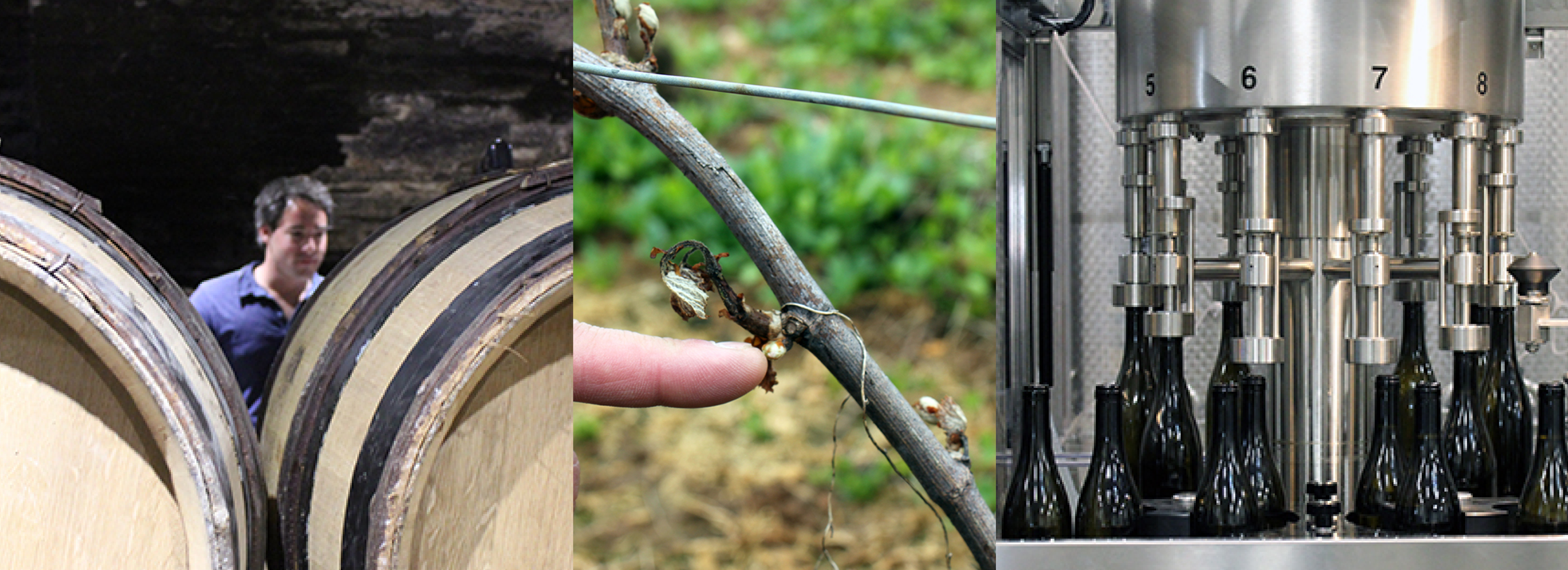 foodfolder-romaric-chavy-chouet-3 .jpg