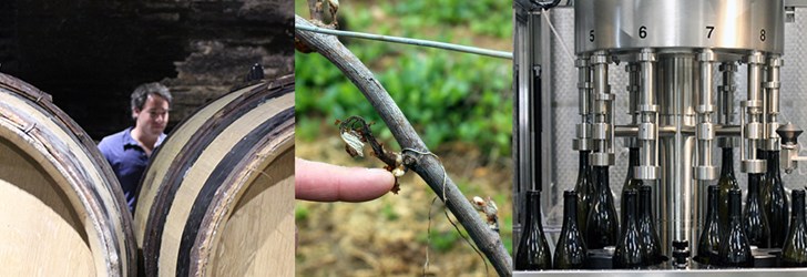 foodfolder-romaric-chavy-chouet-3 .jpg