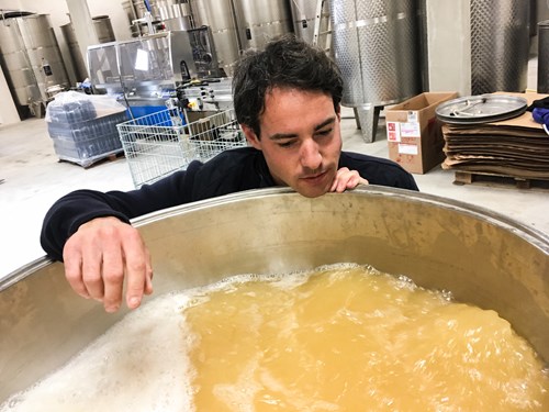 2015 Meursault Clos des Corvées de Citeaux