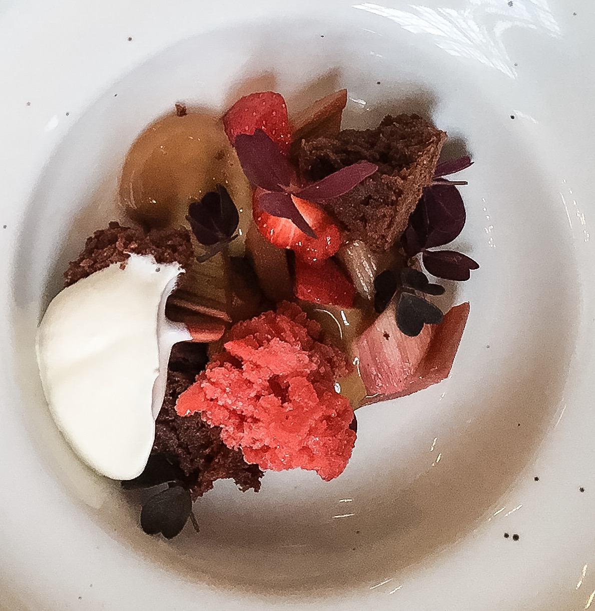 rabarber med jordgubbsgratine, chokladkaka och saltkolasås