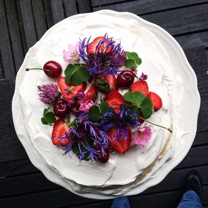 pavlova pavlova