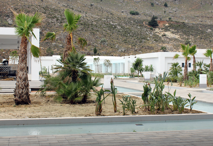 foodfolder casa cook10.jpg