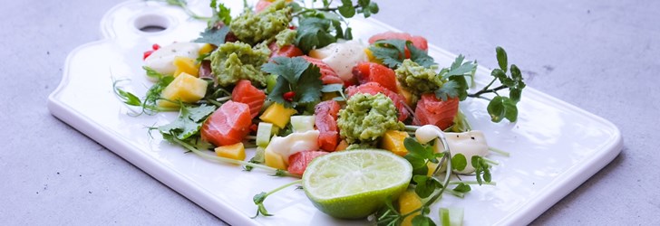 foodfolder-salma-lax-2.jpeg