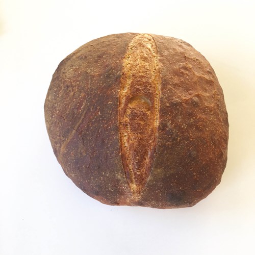 bröd