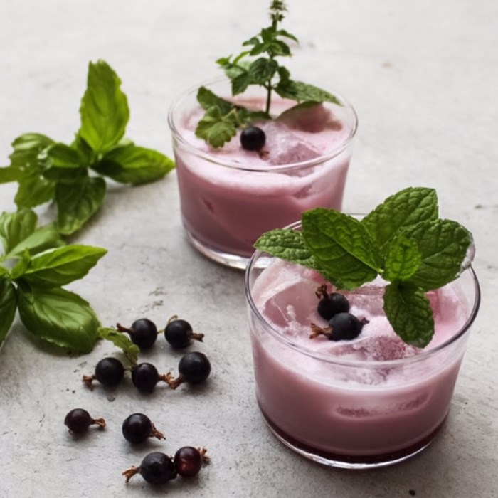 svartvinbärscocktail svartvinbärscocktail