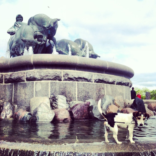 foodfolder köpenhamn 7.jpg