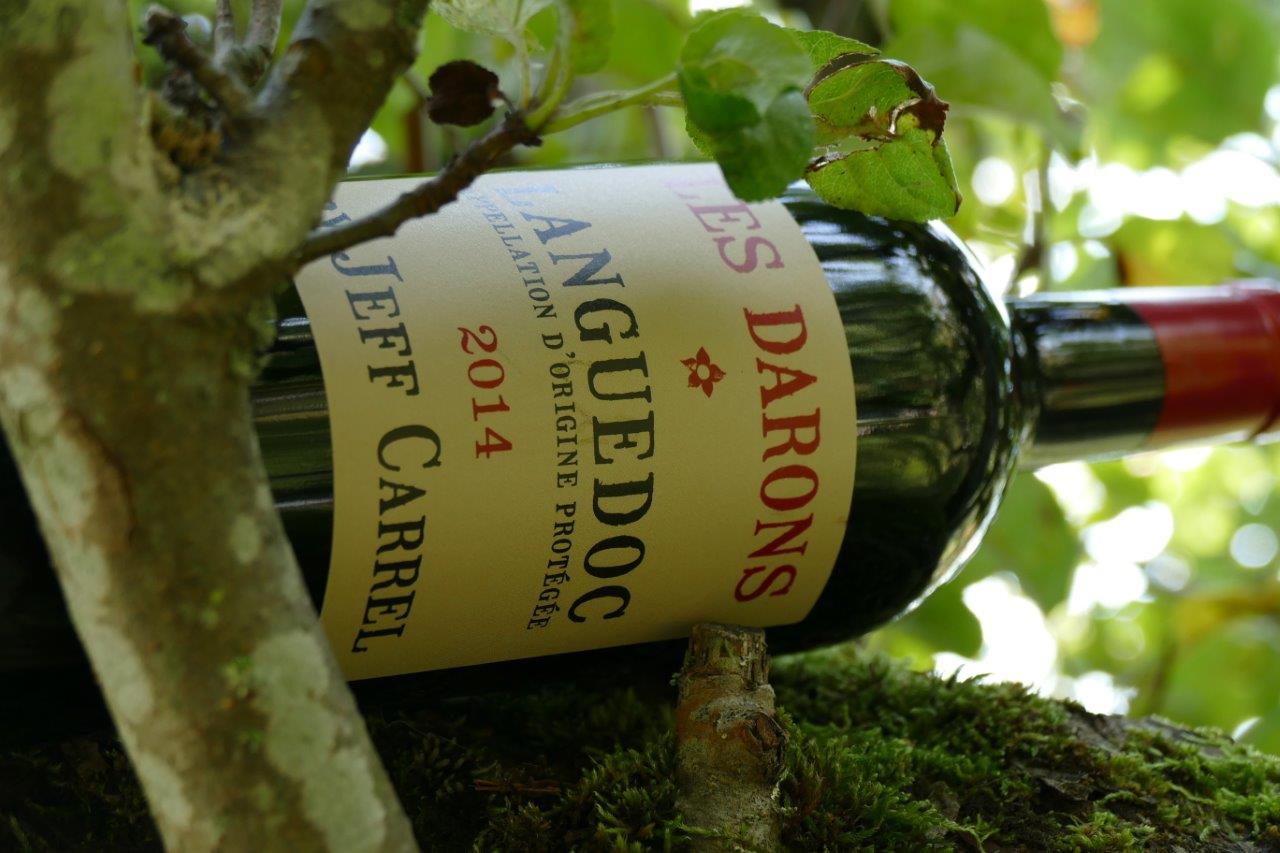 2012 Jeff Carrel Les Darons