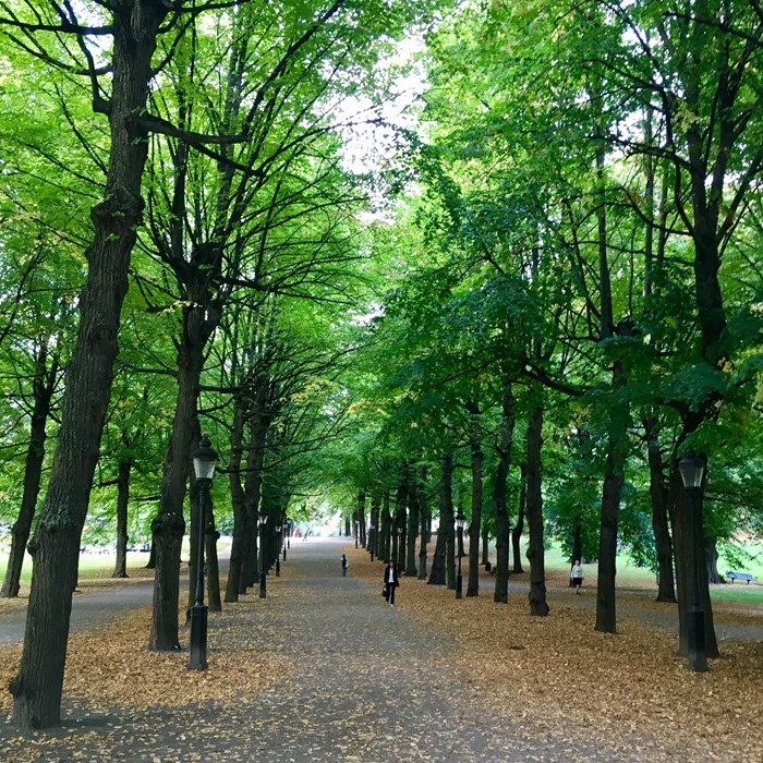 om stockholm om stockholm