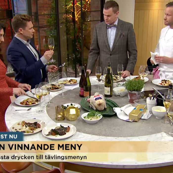 vin i tv4 morgon vin i tv4 morgon