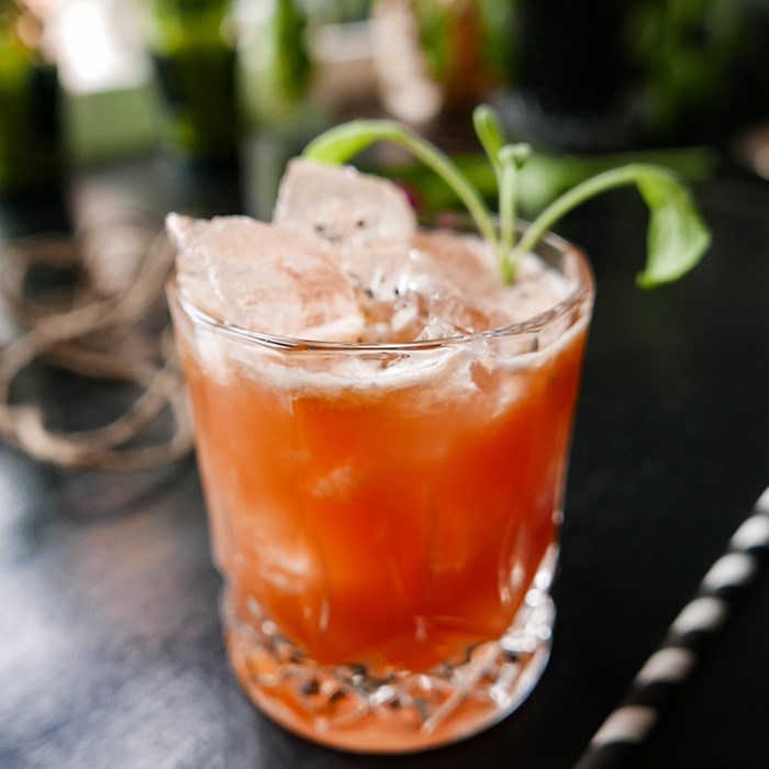 Akvavit grapefrukt cocktail Akvavit grapefrukt cocktail