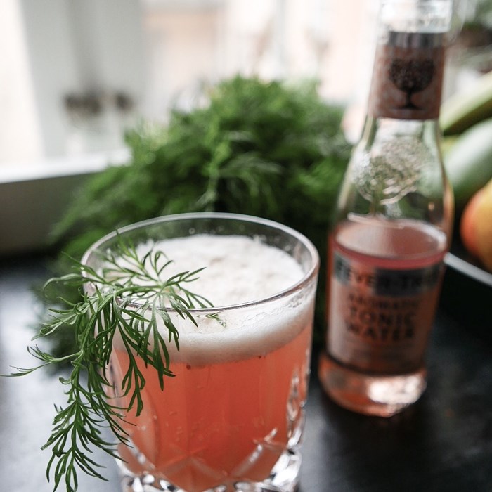 akvavitcocktail med rabarber och tonic akvavitcocktail med rabarber och tonic