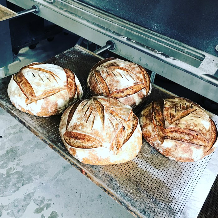 bageribrillo bageribrillo