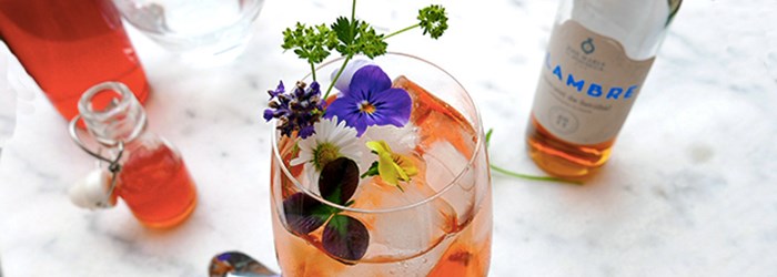 foodfolder-rabarbercocktail.jpg
