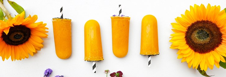 foodfolder-nicecream-mango.JPG
