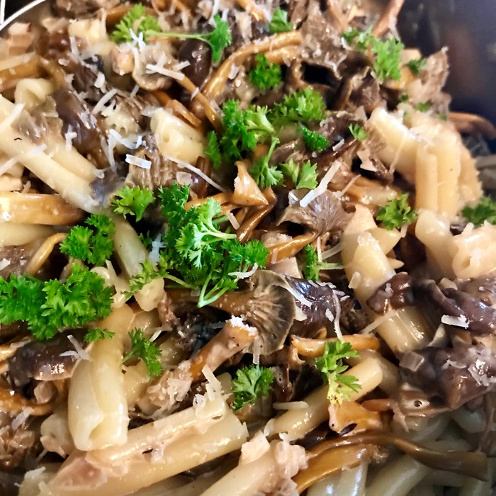 Kantarellpasta Kantarellpasta