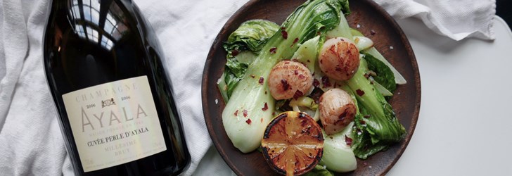 foodfolder-pilgrimsmussla.jpg (1)