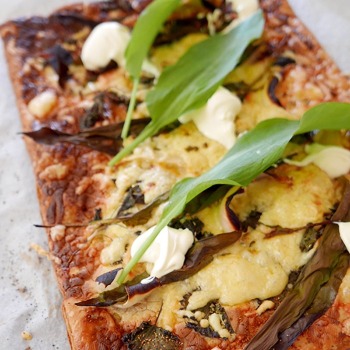 ogräs pizza med nässlor, ramslök ogräs pizza med nässlor, ramslök