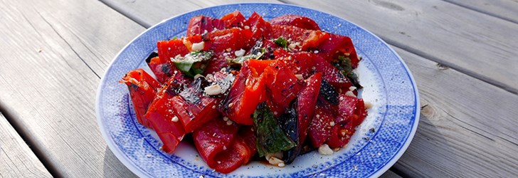 foodfolder-paprika-sallad-grillad.jpg