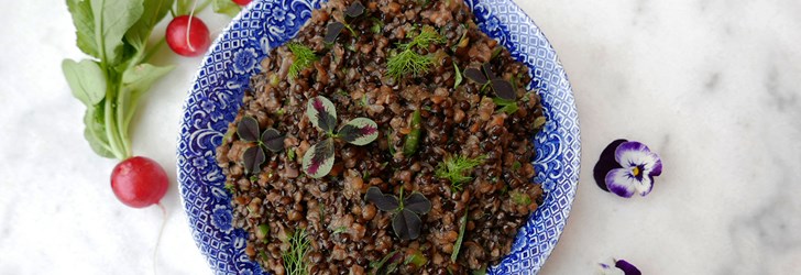 foodfolder-linsragu.jpg