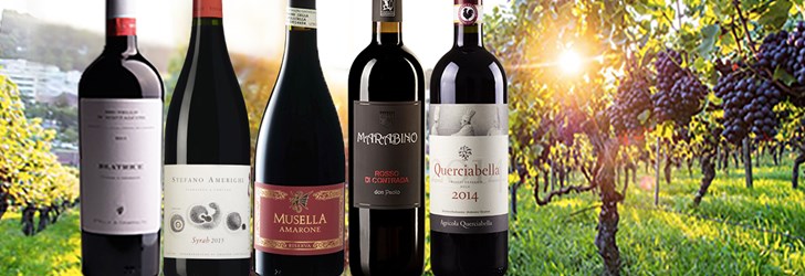 foodfolder-italien-bio-dynamiskt-vin (kopia).jpg