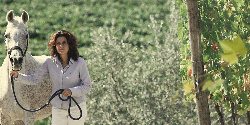 Stella di Campalto - Brunello di Montalcino “Beatrice”