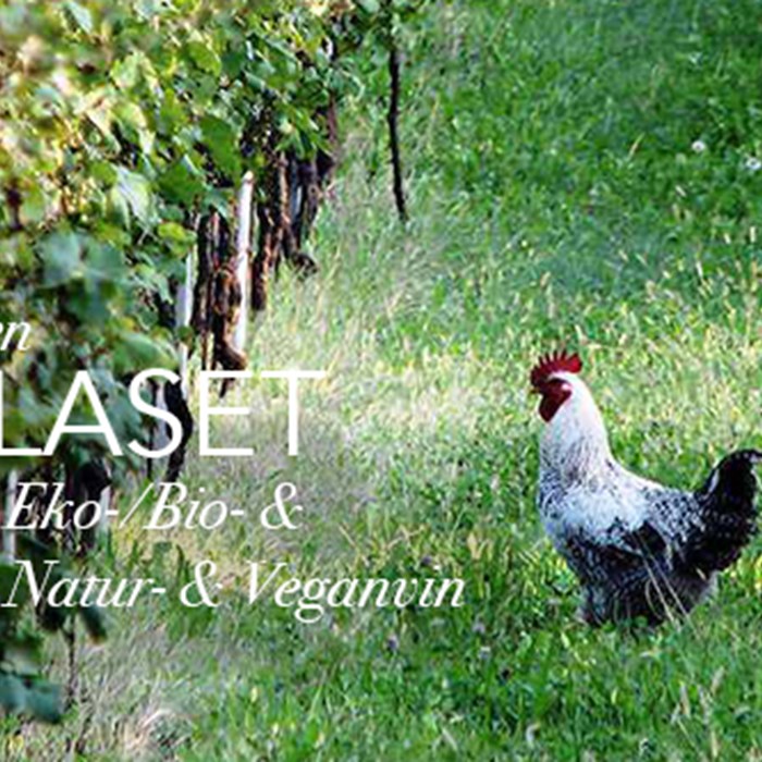 Ekologiskt-, biodynamiskt, naturvin & veganvin Ekologiskt-, biodynamiskt, naturvin & veganvin
