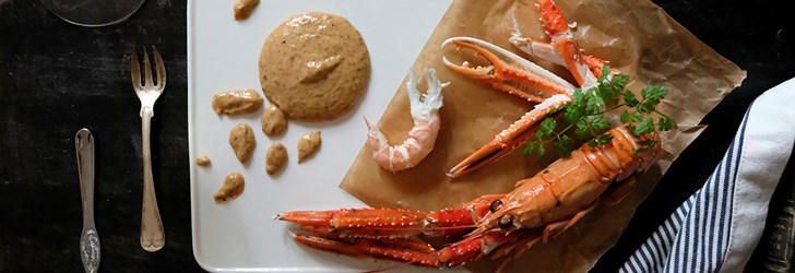foodfolder-havskräfta-w.jpg