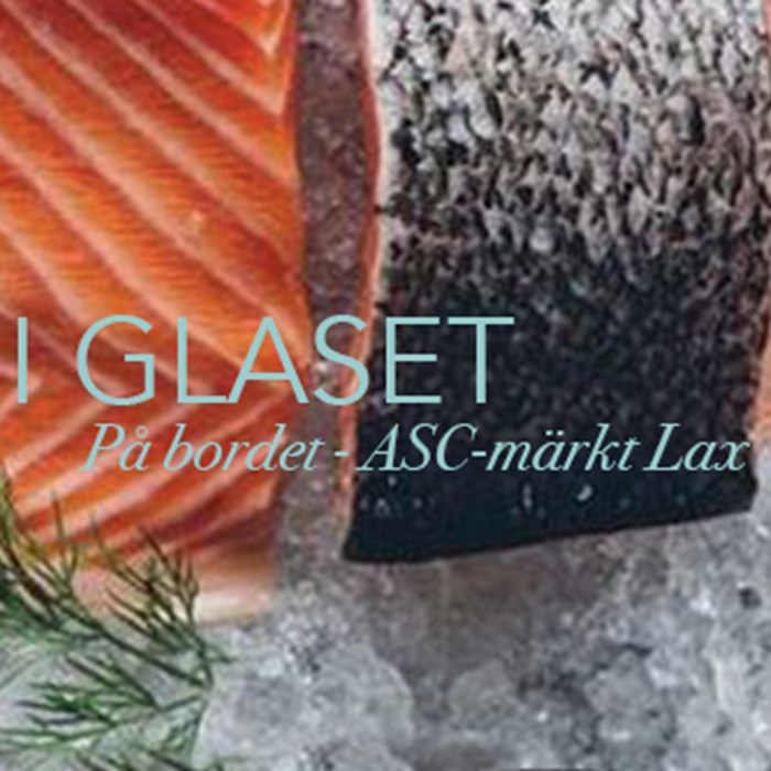 på bordet - asc-märkt lax på bordet - asc-märkt lax