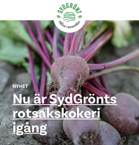 https://sydgront.se