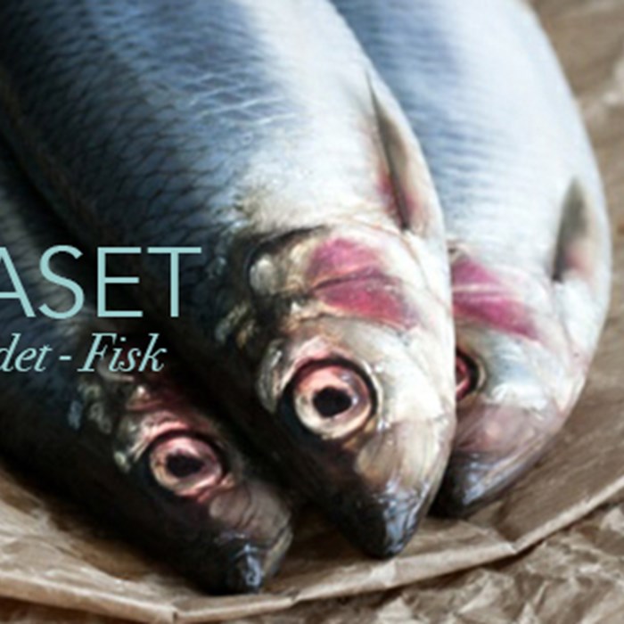 på bordet - fisk på bordet - fisk