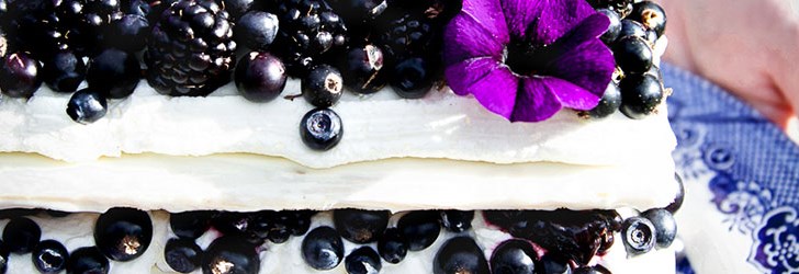 berrycaketastic_foodfolder2.jpg