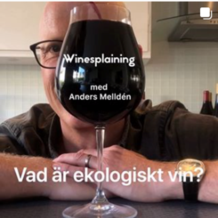 Winesplaining med Anders Melldén Winesplaining med Anders Melldén