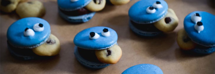 cookiemonster_macarons_foodfolder2.jpg