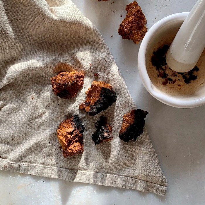 Chaga - en hälsaboost svamp Chaga - en hälsaboost svamp