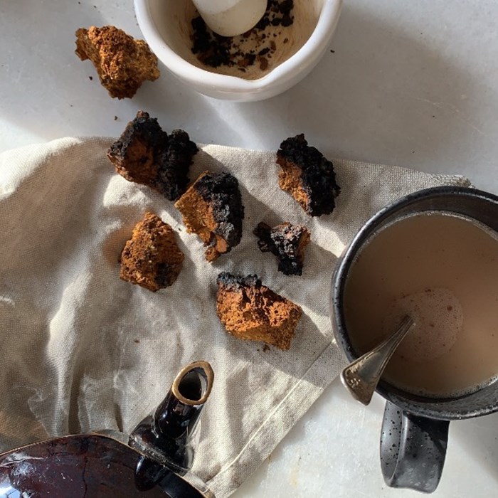 Chaga te sprängticka Chaga te sprängticka