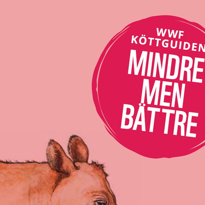 WWF Köttguide WWF Köttguide