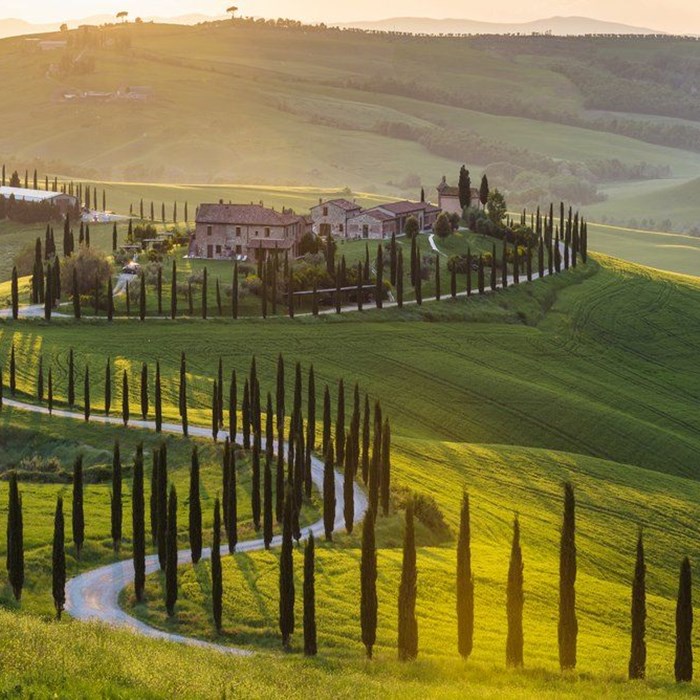 Vinmiddag - tema äldre viner från Piemonte och Toscana Vinmiddag - tema äldre viner från Piemonte och Toscana